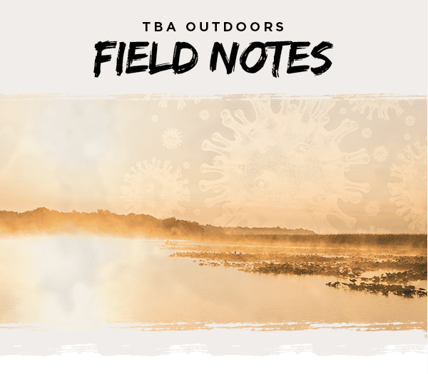 Field Notes