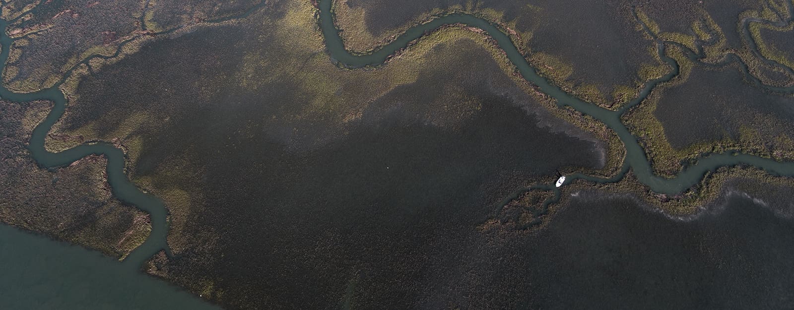 Aerial view of river.