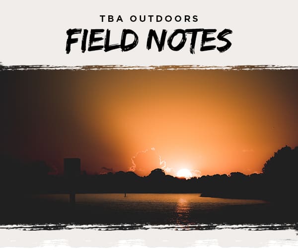 Field Notes