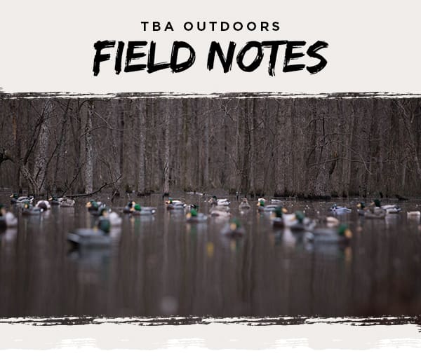 Field Notes