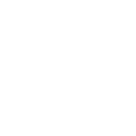 TravelBoom logo.