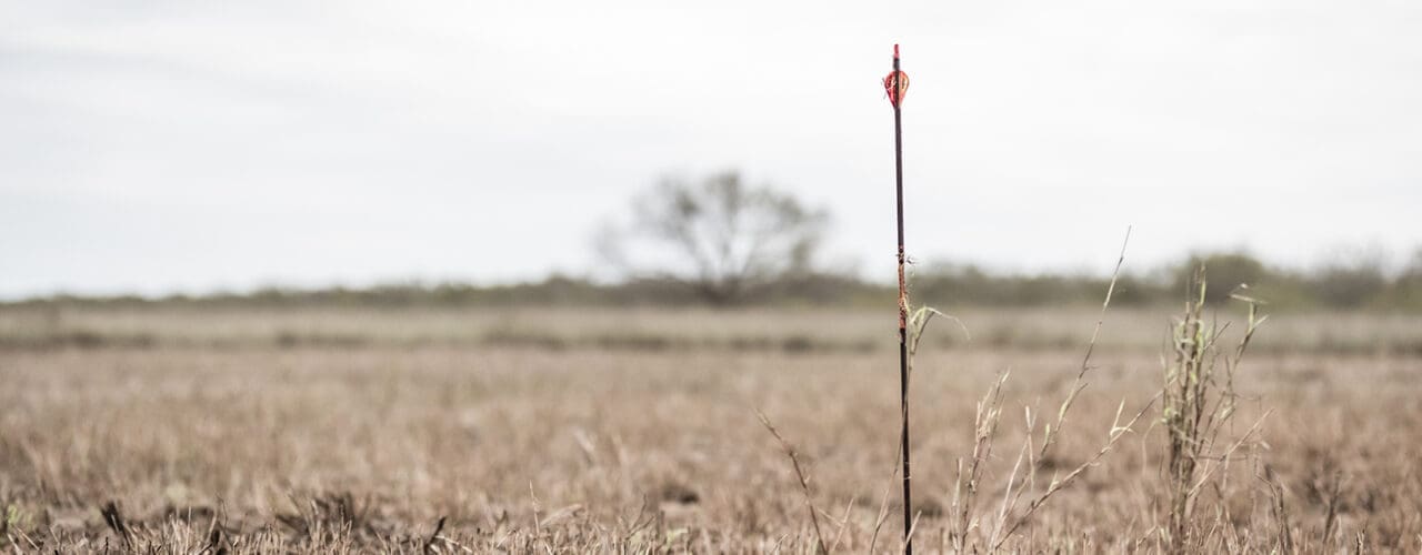 Arrow in field