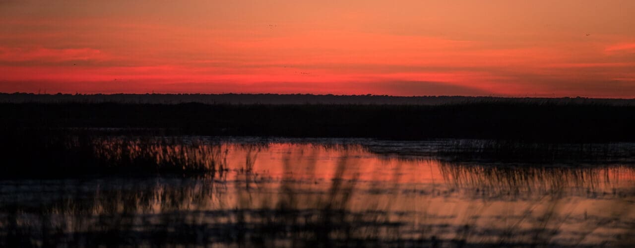 Sunset over a marsh