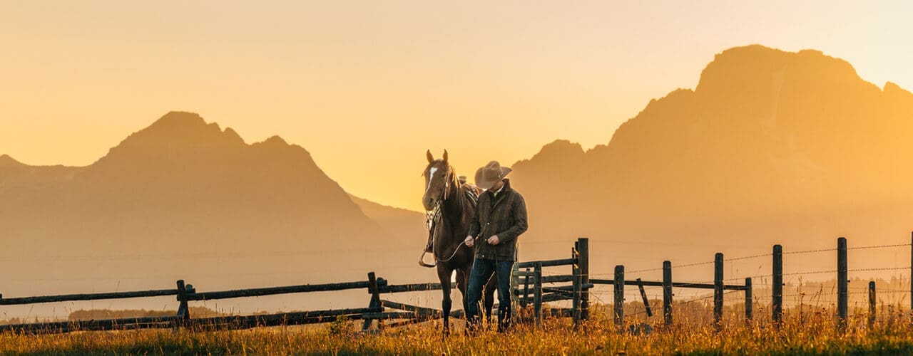 Man with a horse