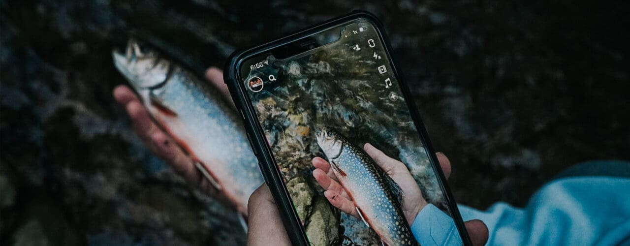 Person taking a photo of a fish