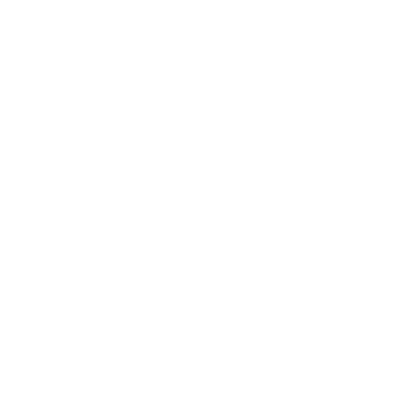 Brandon Logo