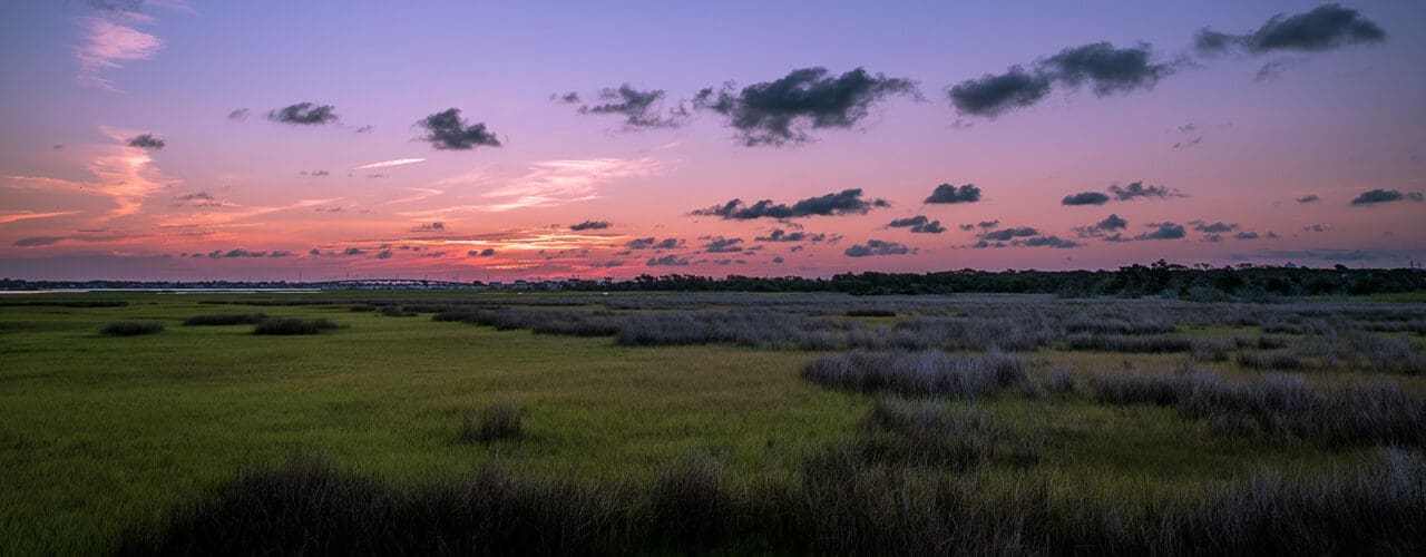 sunset on the marsh