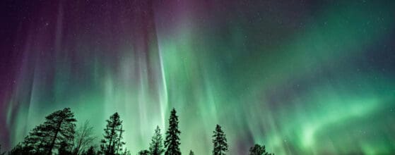 The Importance of Paid Media in Amplifying Your Outdoor Brand’s Reach